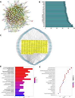 Exploration of the mechanism of Qi-Xian decoction in asthmatic mice using metabolomics combined with network pharmacology